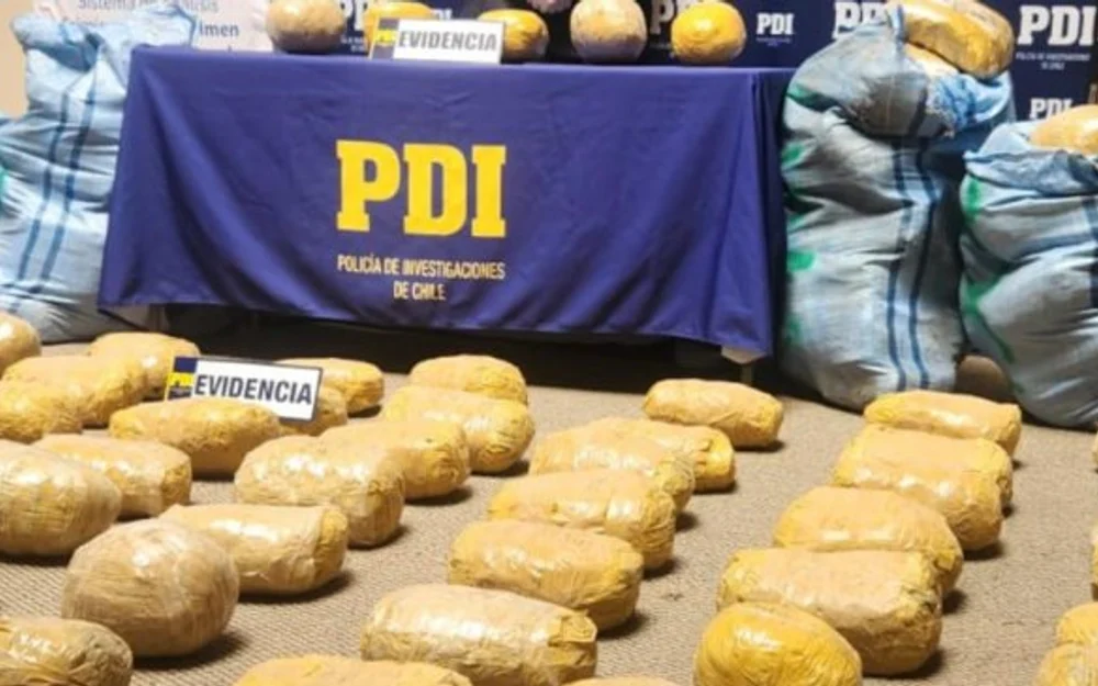 Prisión preventiva para detenido con 234 kilos de marihuana en la Ruta Ch-23