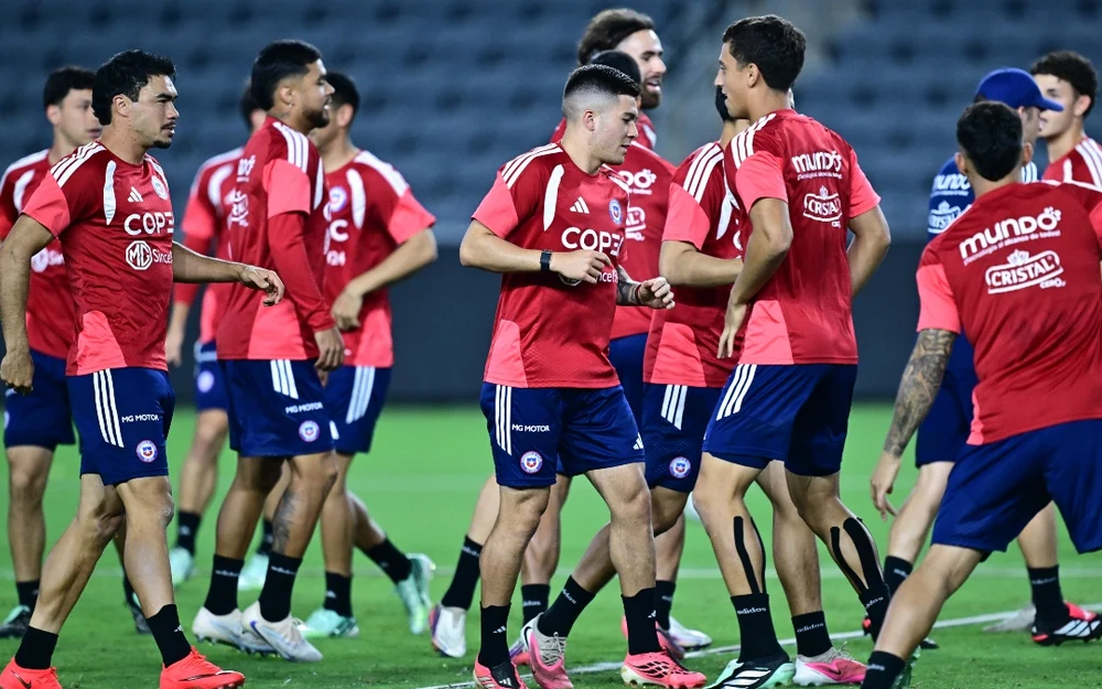 Los nombres que suenan para reemplazar a Gareca en la Roja