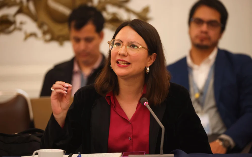 Irací Hassler demanda al Fisco y a Contraloría para anular el sumario por la fallida compra de Sierra Bella