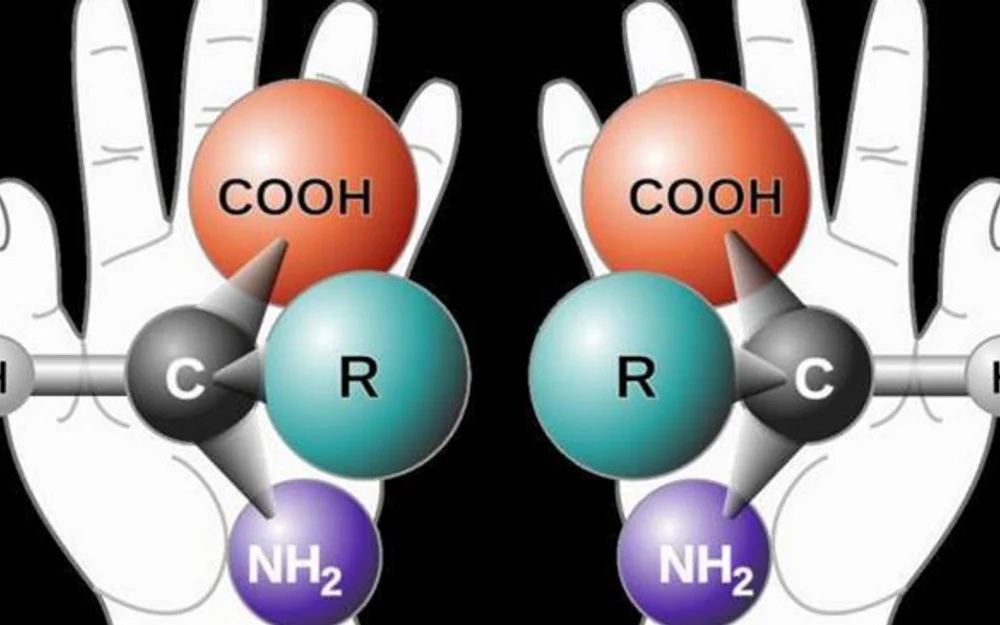 Nobel de Química 2026: Kagan y Soai ganan por descifrar la homoquiralidad