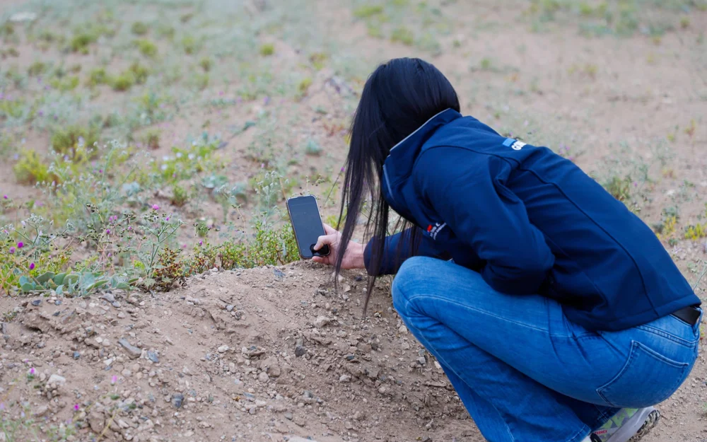 Ministerio del Medio Ambiente llama a fotografiar la naturaleza en el Día Nacional del Medio Ambiente