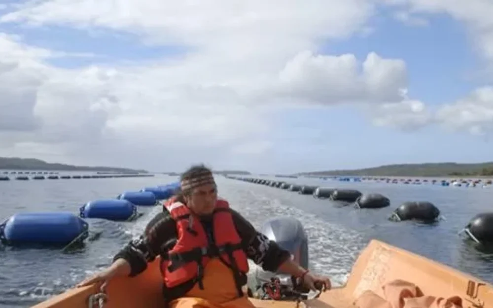 Microserie documental retrata la defensa del mar y la identidad ancestral en el ECMPO Koldita de Chiloé
