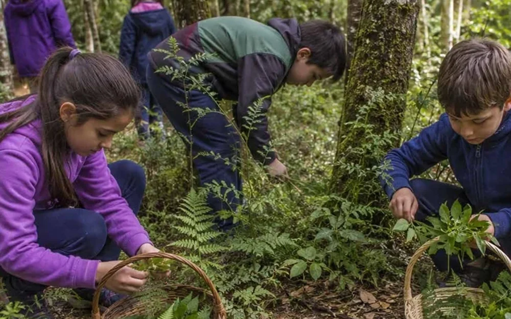 ALTA UACh abre su programación Primavera 2026 en Valdivia con robótica y filosofía