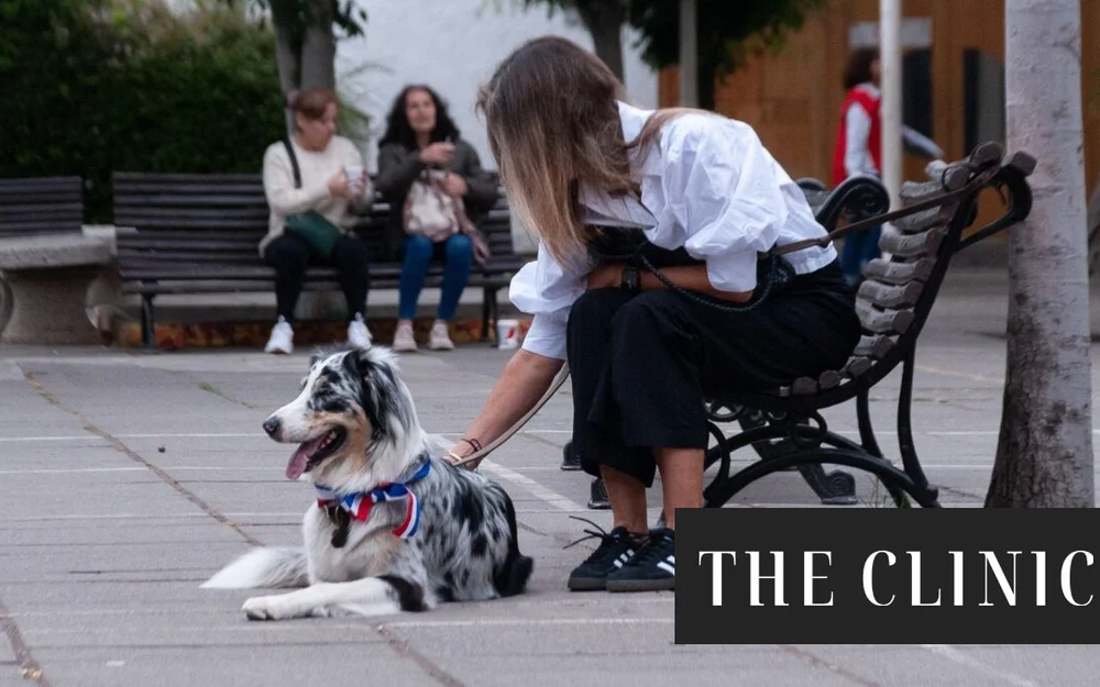 Gobierno recorta en más de 85% el presupuesto del programa de tenencia responsable de animales