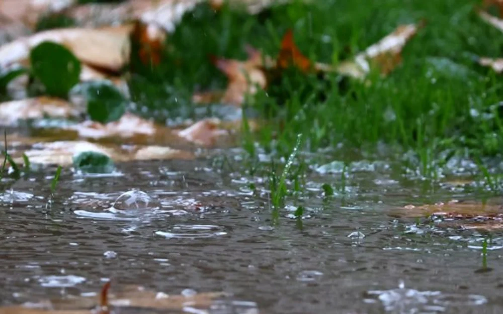 Biobío activa protocolos de emergencia ante temporal con lluvias sobre 100 mm y vientos de 60 km/h