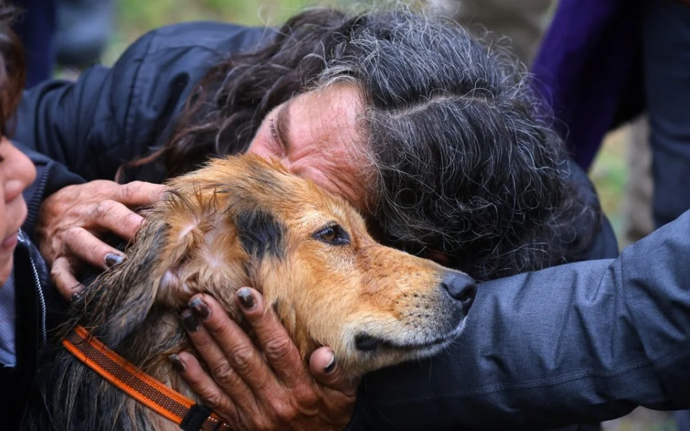 Rescate del perro Morocho movilizó a Santiago y terminó con final feliz