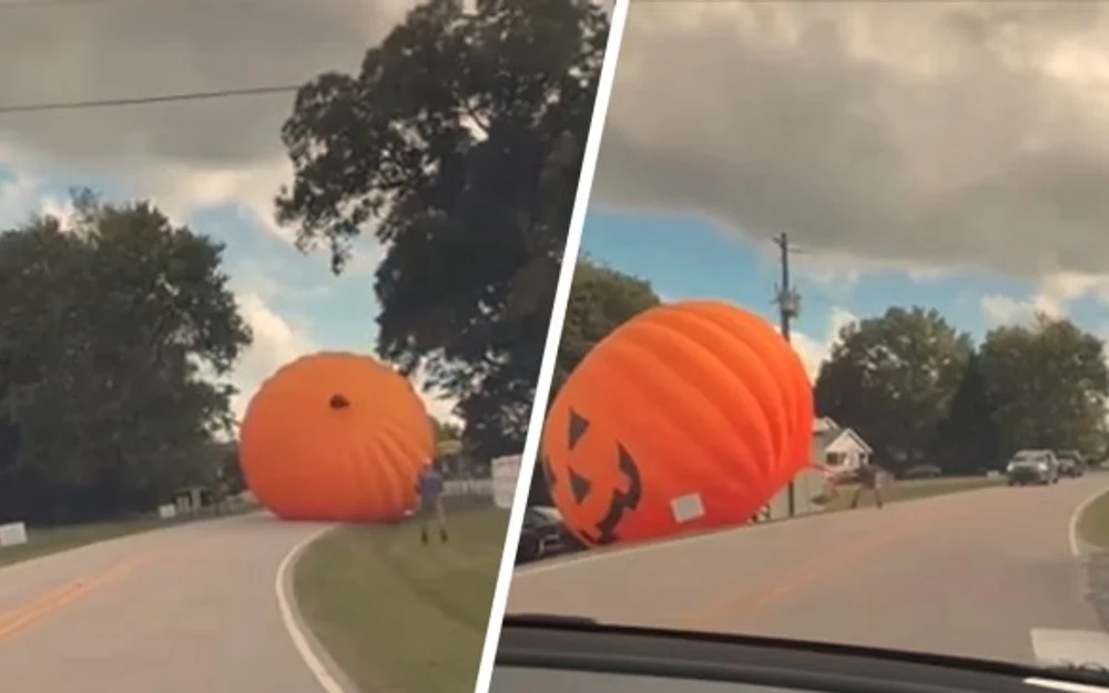 Vientos arrancan una calabaza inflable gigante en una granja de Carolina del Norte