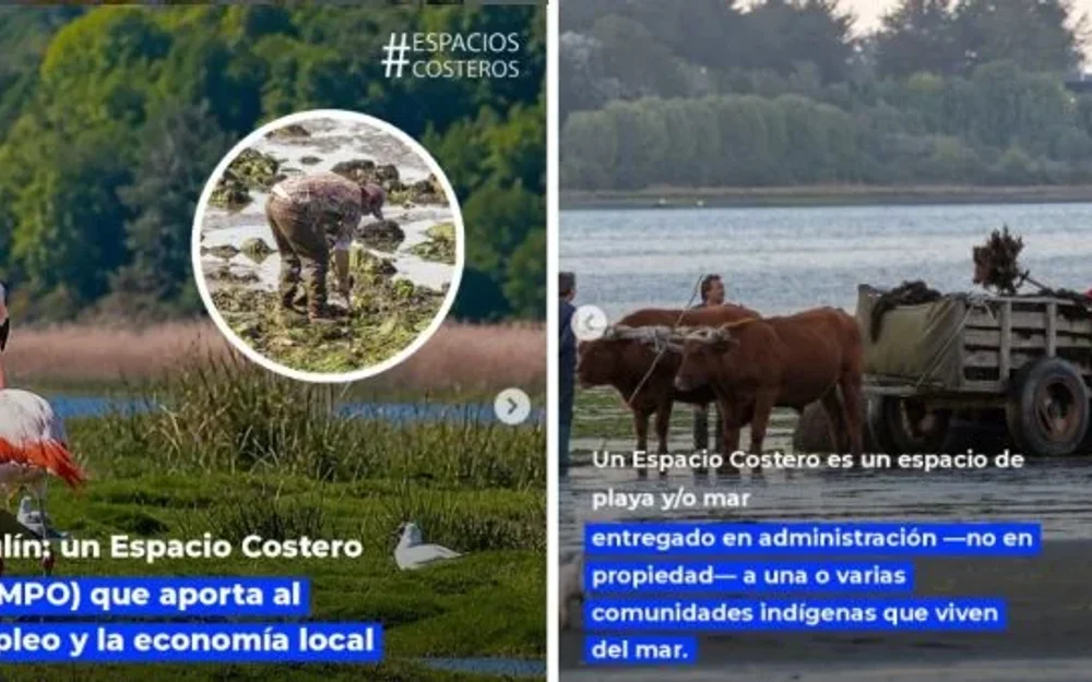 Caulín y su modelo de conservación marina que genera empleo local en Chiloé