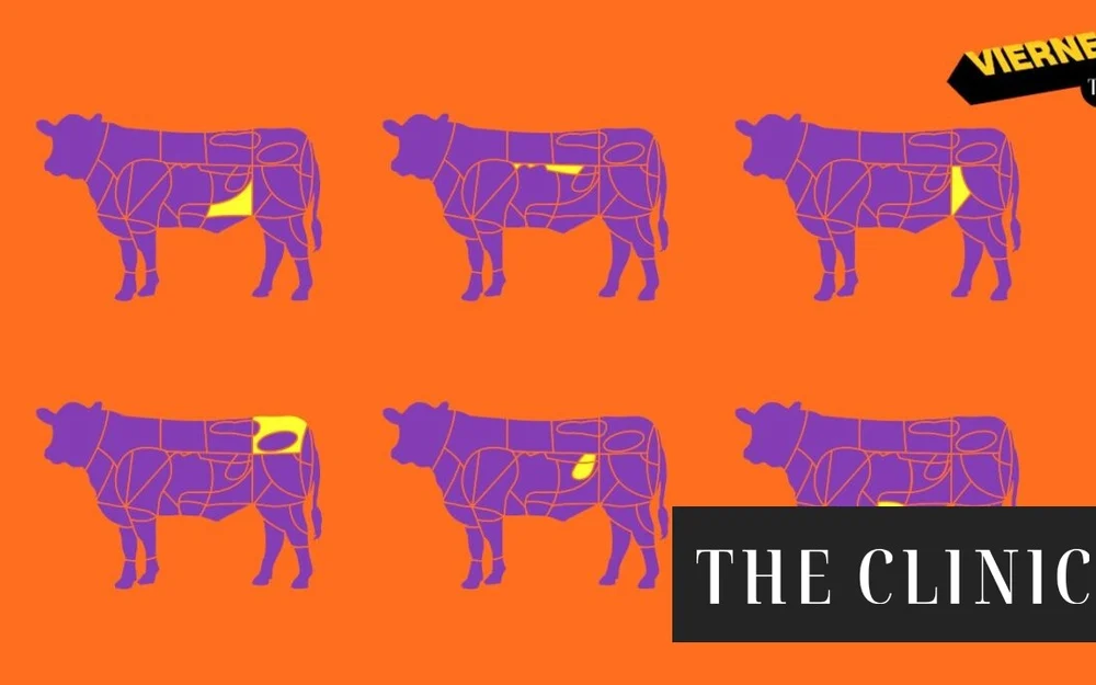 Más allá del lomo vetado: cortes económicos para la parrilla de este 18