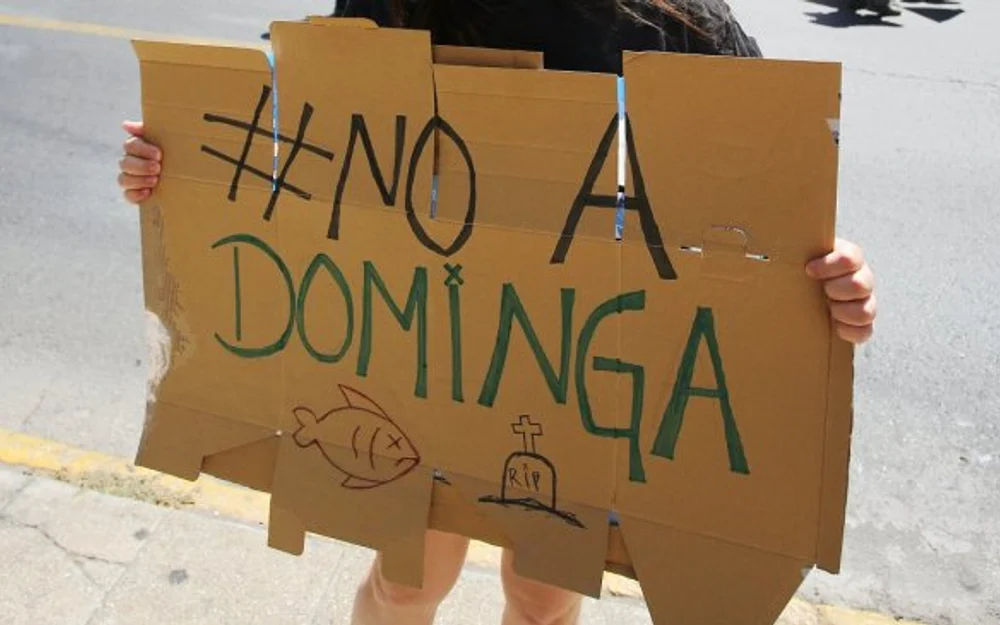 Andes Iron retira recursos judiciales por Dominga y apuesta a un nuevo pronunciamiento del Comité de Ministros