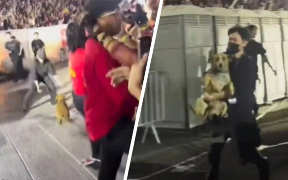 Un perro interrumpió el primer concierto de BTS en Lima y se robó las miradas