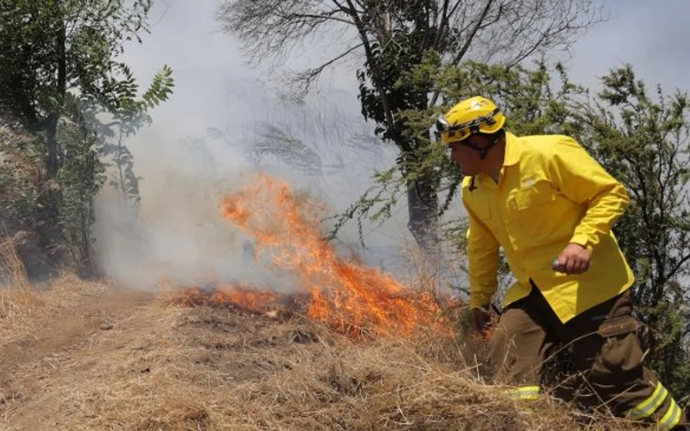 Senapred despliega preparativos ante un verano que podría marcar sobre 40 grados