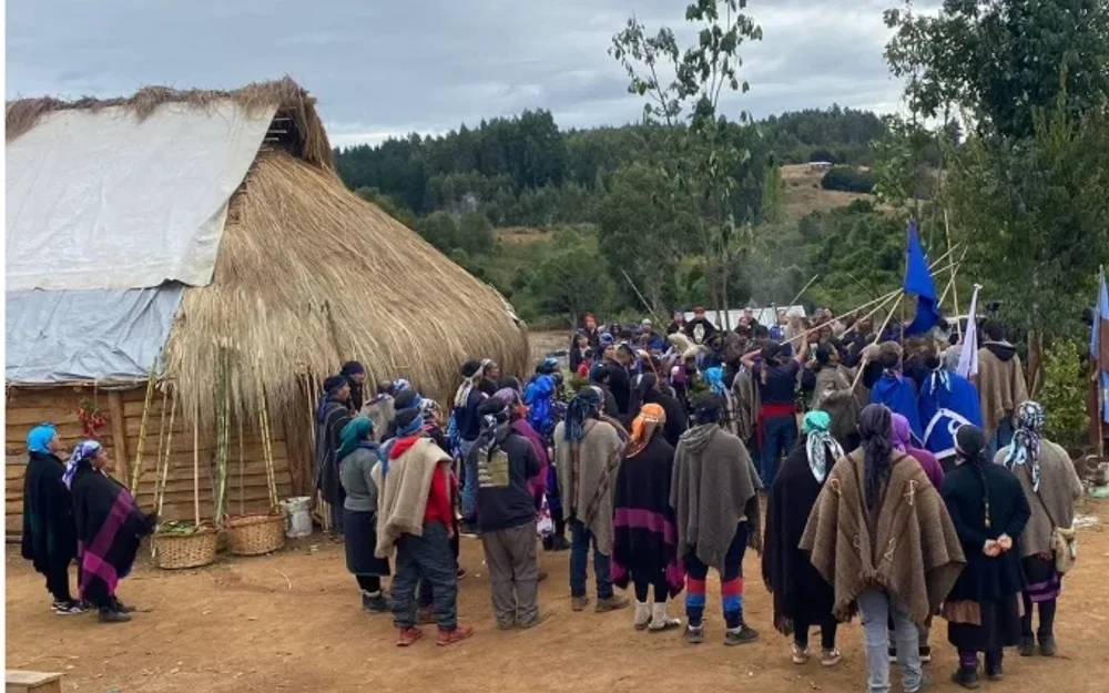 Denuncian operativo policial y detención en territorio mapuche-williche de La Unión