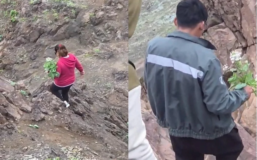 Conaf condena extracción de plantas endémicas en la Reserva Nacional La Chimba